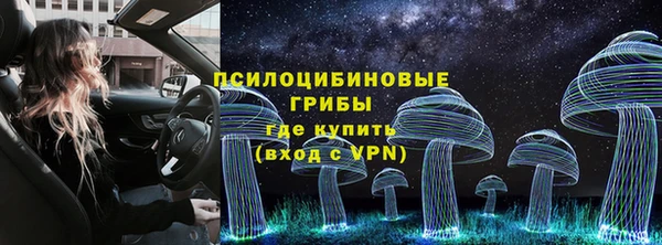 a pvp Алексин